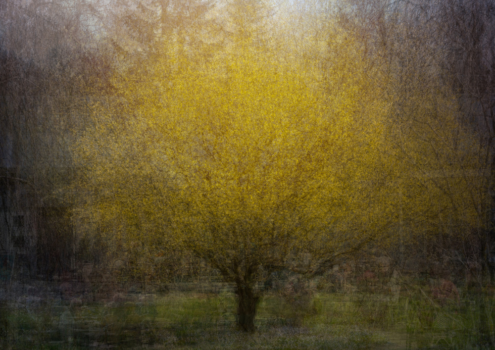 Town square von Katarina Holmström