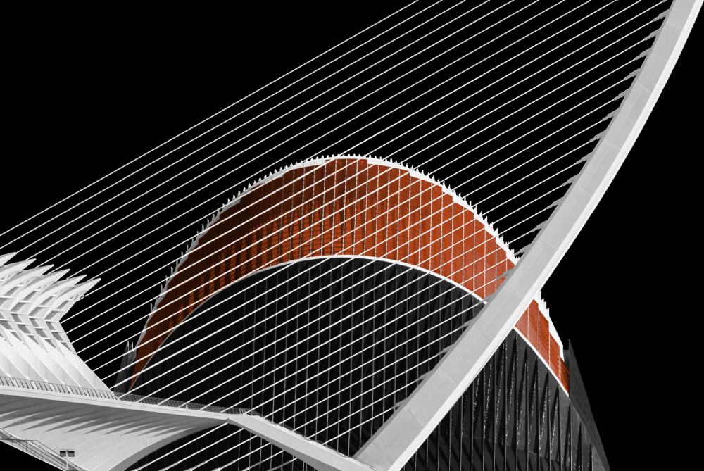 Red caught von Katelijne De Brabandere