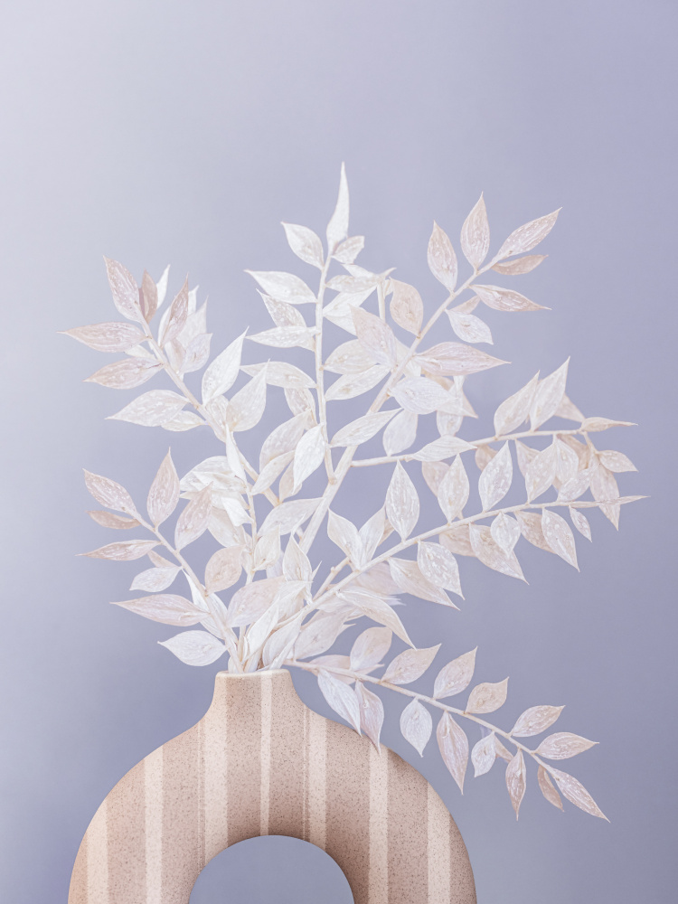 Ruscus von Kathrin Pienaar