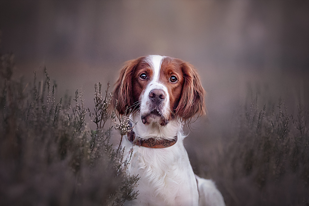 hi there von Katja Goovaerts