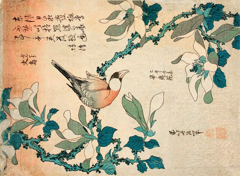 A Paddy Bird Perched On A Flowering Magnolia Branch From The Series ''Small Flowers'' von Katsushika Hokusai