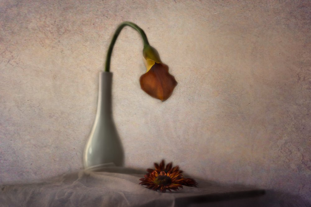 The Look von Kavian Mashayekhi