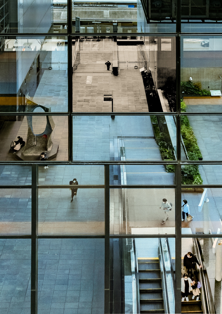 The puzzle of life von kazuhito kosaka