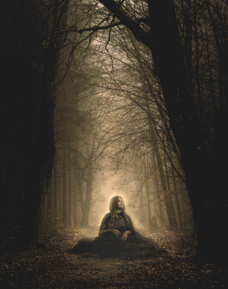 Dark Forest von kazumaru_photo