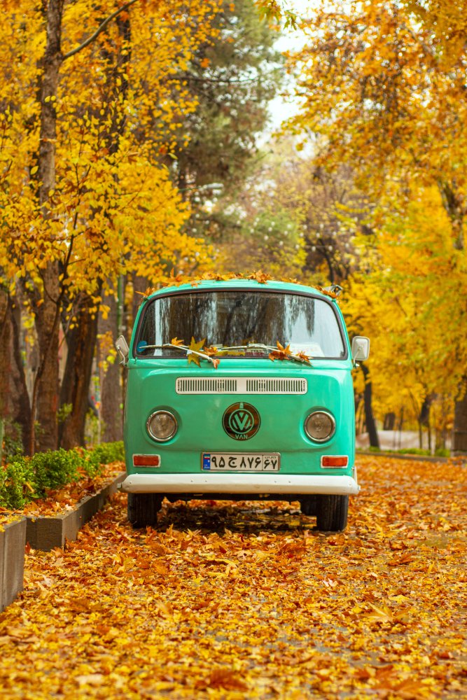 Silent autumn von keivan.khatami