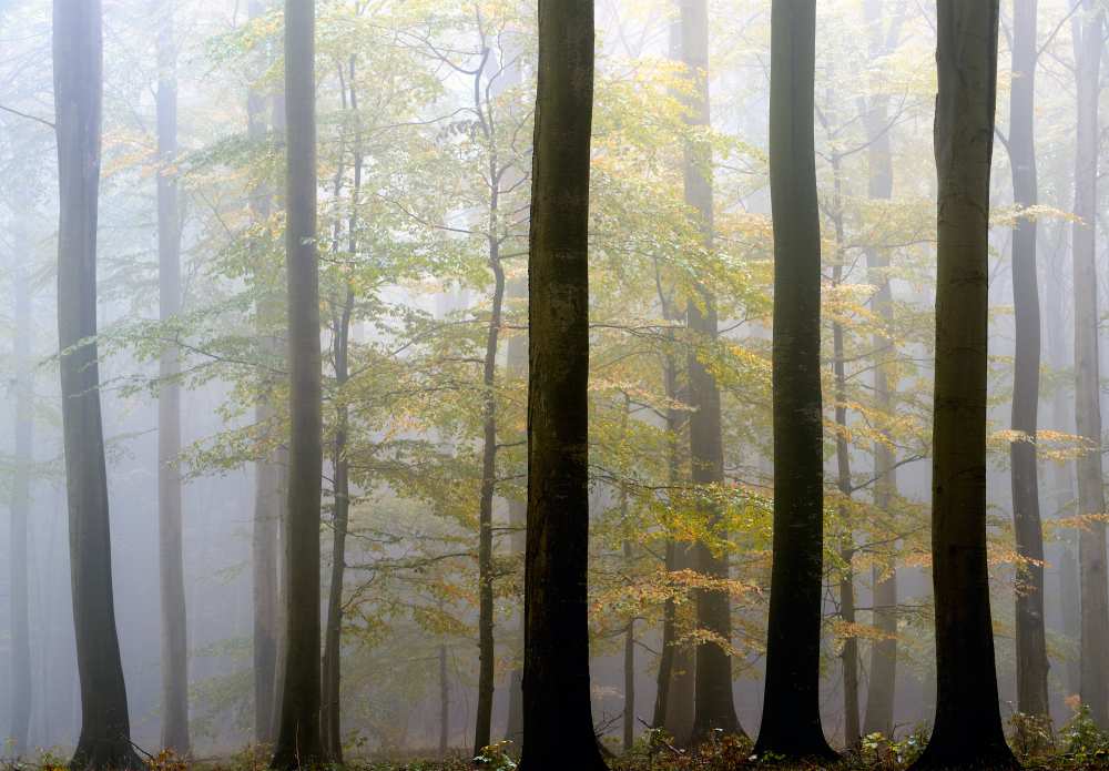 In between von keller