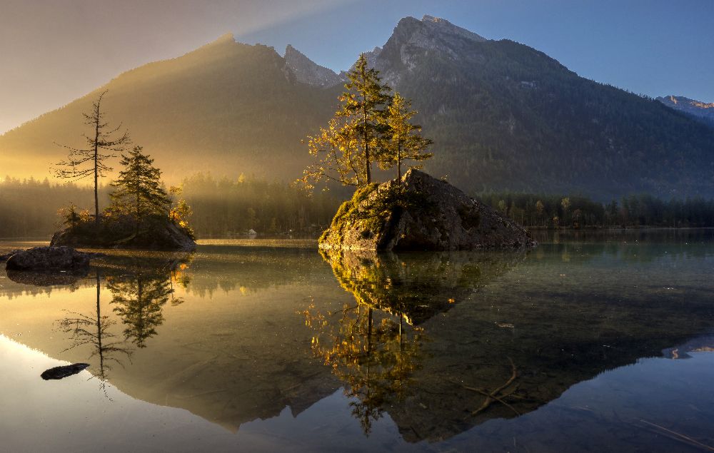Goldener Morgen von keller