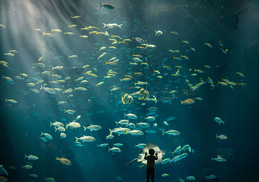 discovery von Kenichiro Hagiwara