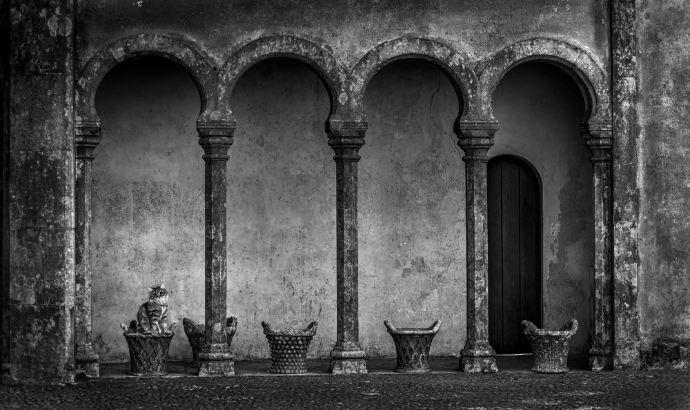 Old Stone Archs von Kenneth Zeng