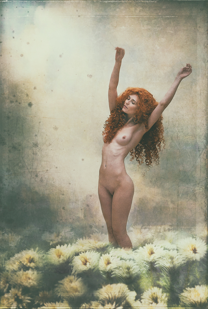 The sunny uplands von Kenp