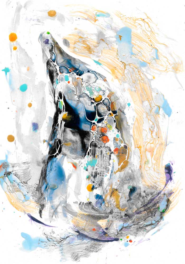 Dolphin von Christa Kerbusch