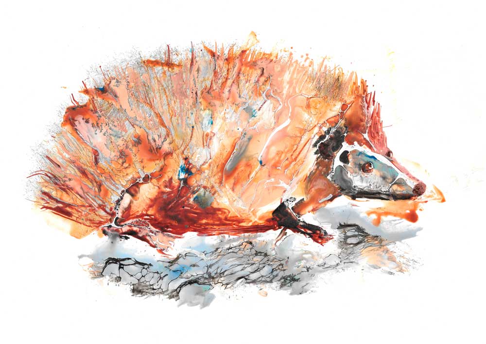 Hedgehog von Christa Kerbusch