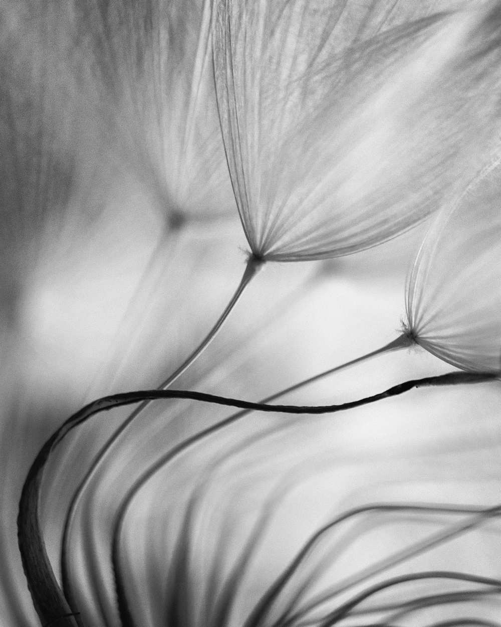 Lean on me von Keren Or