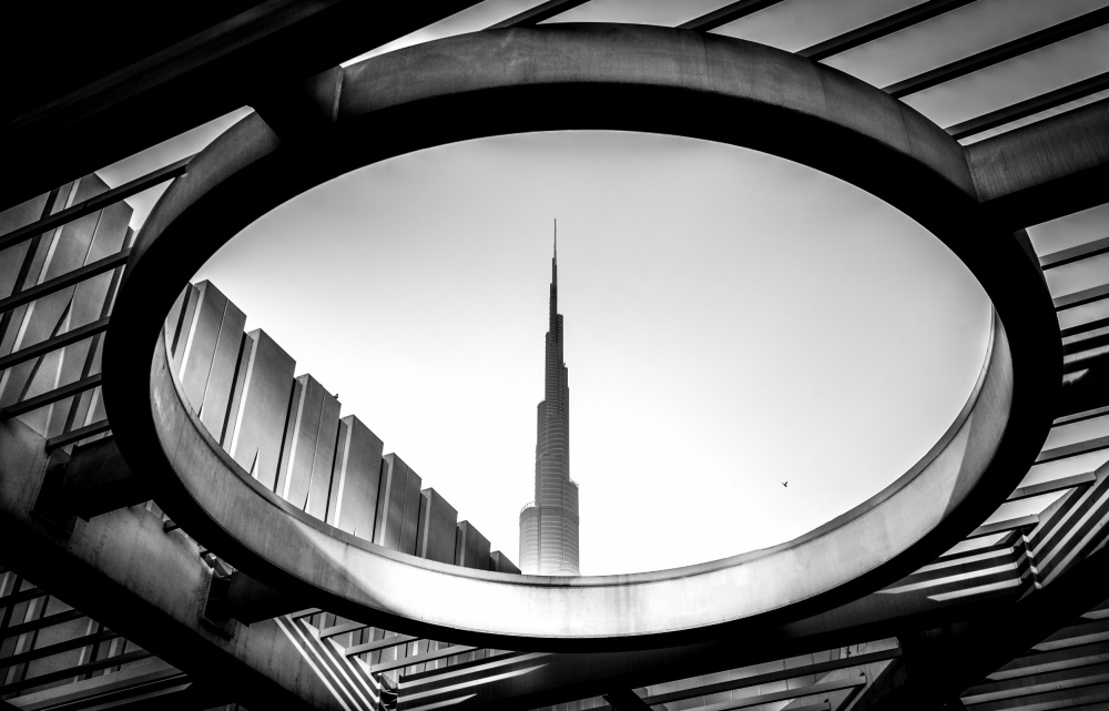 Contradictions von khalid jamal