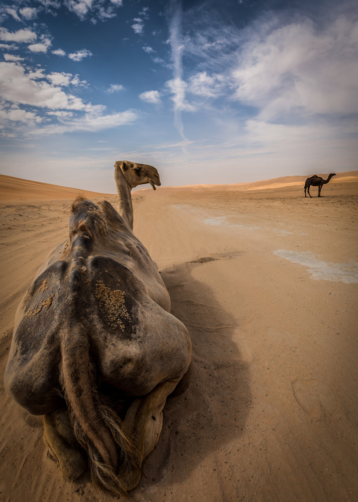 Two von khalid jamal