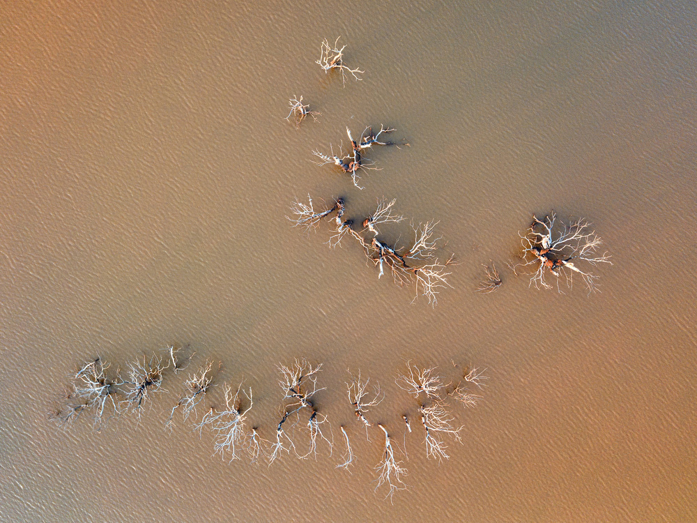 Human desert von Kique Ruiz