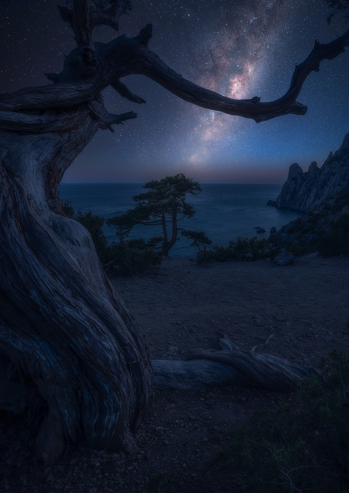 Milky Bay von Kirill Volkov