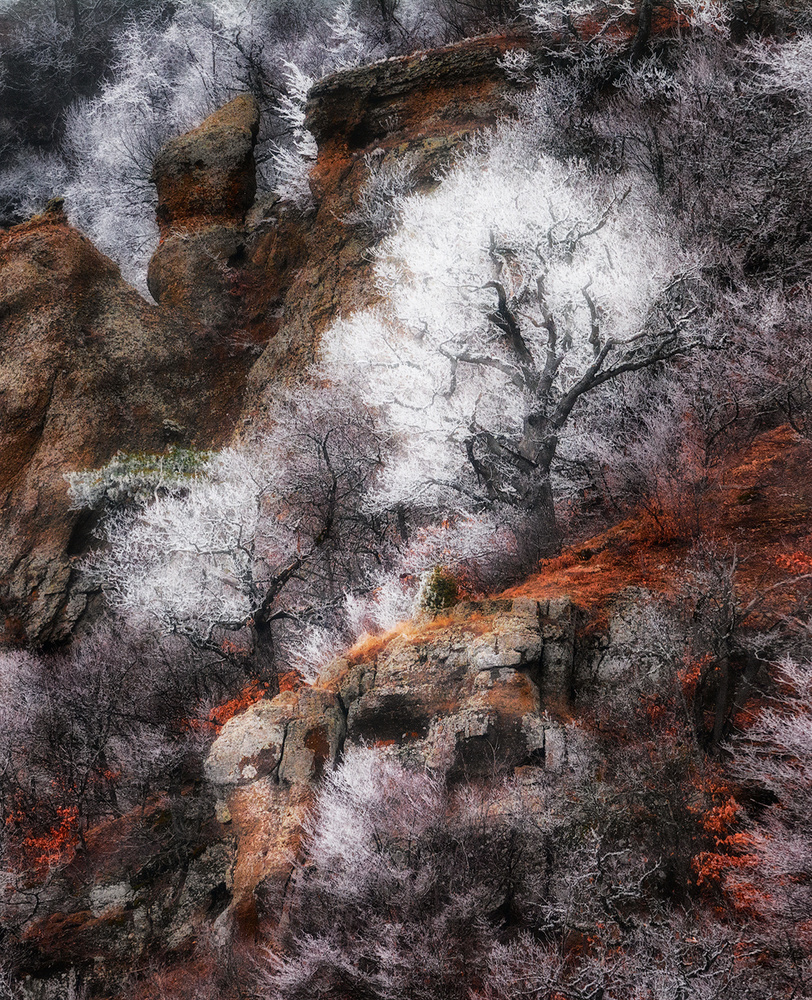 *** von Kirill Volkov