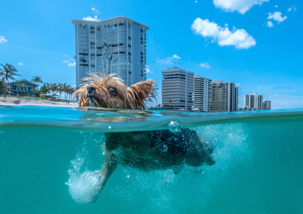 Ginny von Kirk Cypel