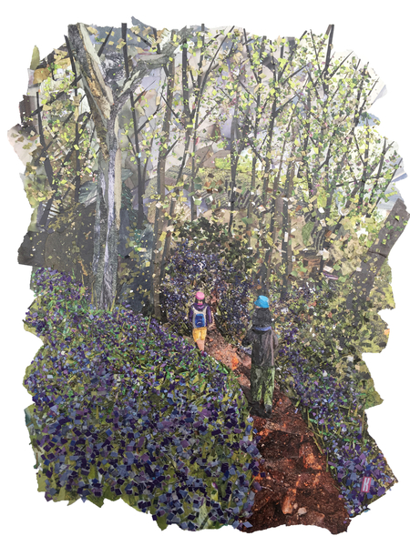 Spring Bank von Kirstie Adamson