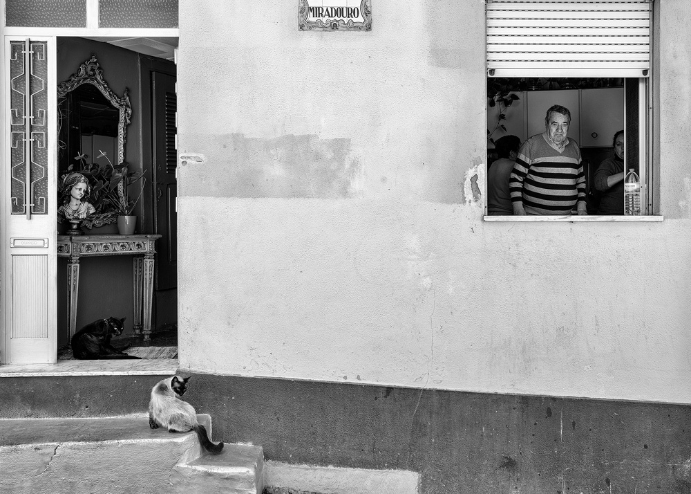 Miradouro (Viewpoint) von K|K - Carlos Costa