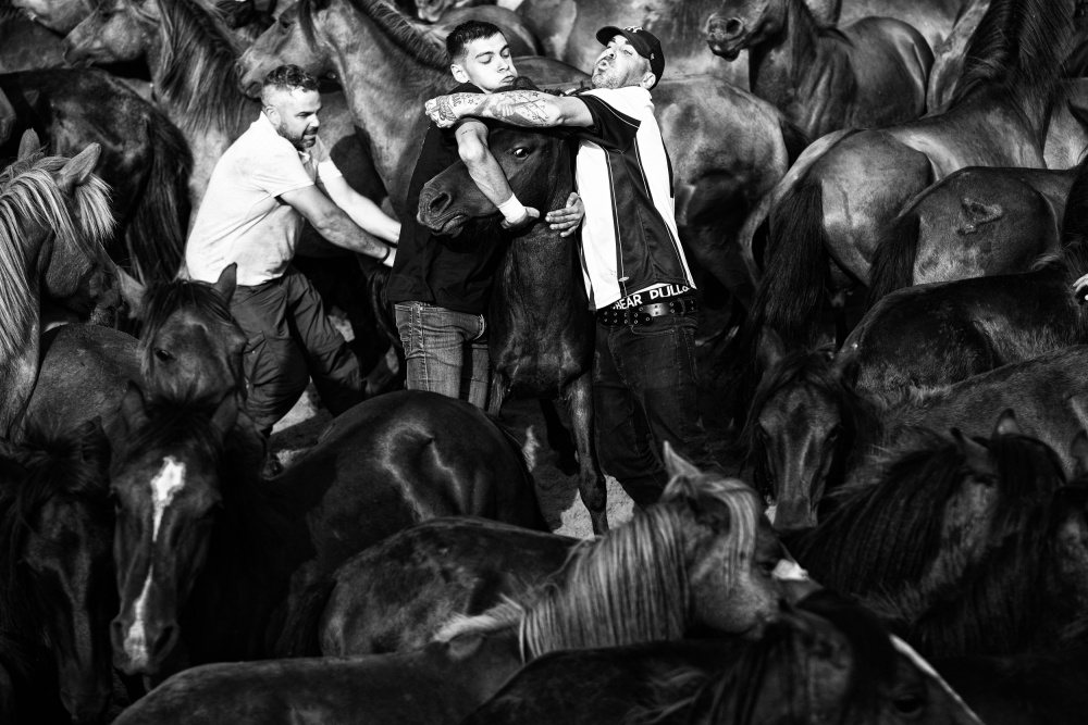 untitledl von K|K - Carlos Costa