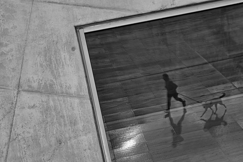 Paso Doble von K|K - Carlos Costa