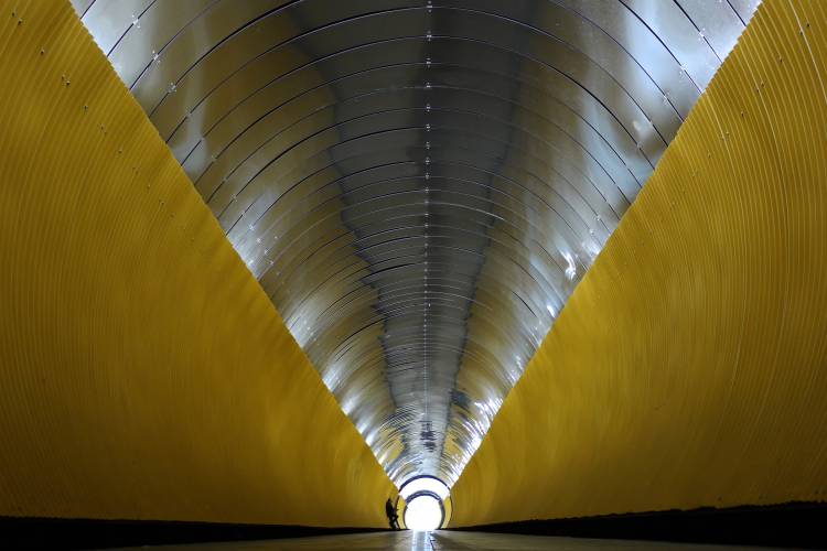 the musician von Klaus Lenzen