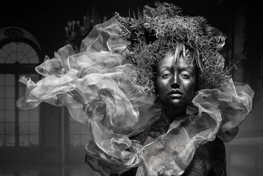 Silver von Klaus Tesching