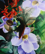 Colibre laticia von James Knowles