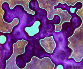 Continental drift von James Knowles