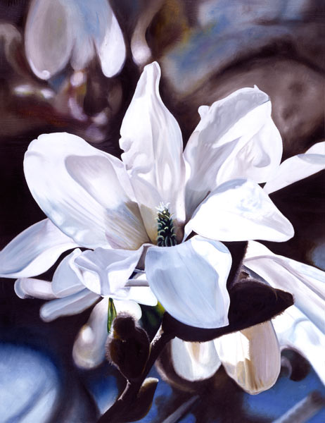 Magnolia von James Knowles