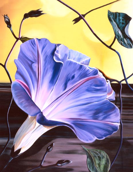 Morning Glory von James Knowles