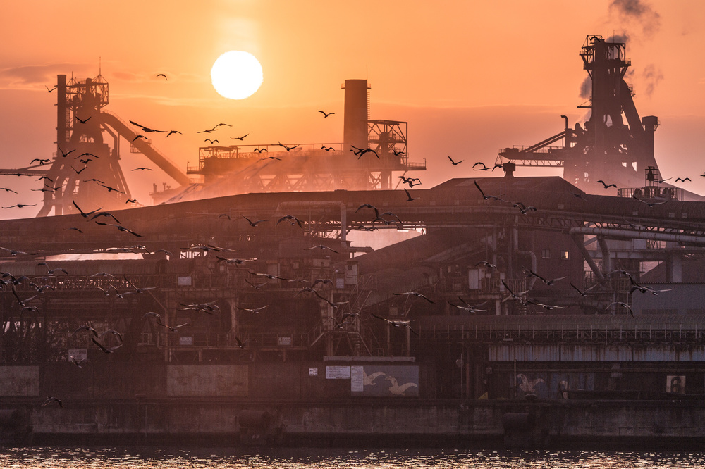 Cormorant von Kobayashi Tetsurou