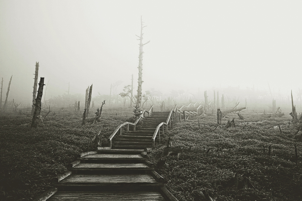 untitledl von Koji Sugimoto