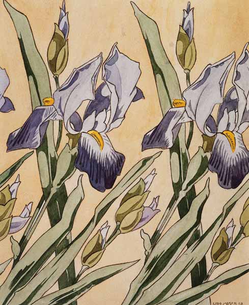 Iris von Koloman Moser