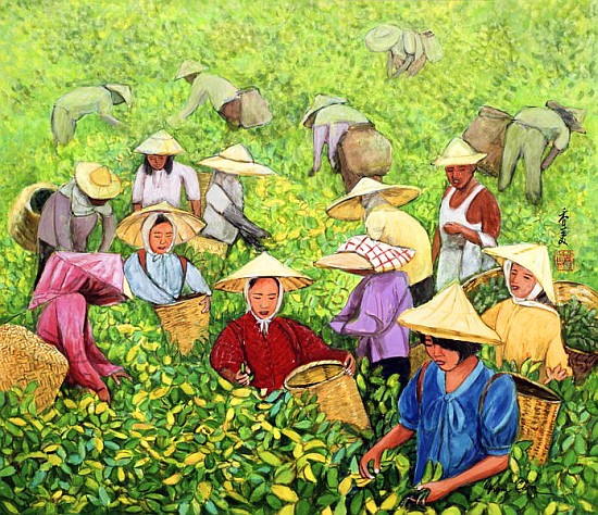Tea Picking Girl, 1994 (gouache on silk)  von Komi  Chen