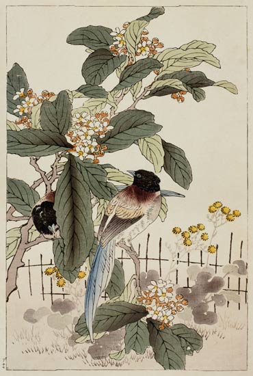 Blue tailed birds among the blossom from Bunrei Kacho Gafu von Kono Bairei