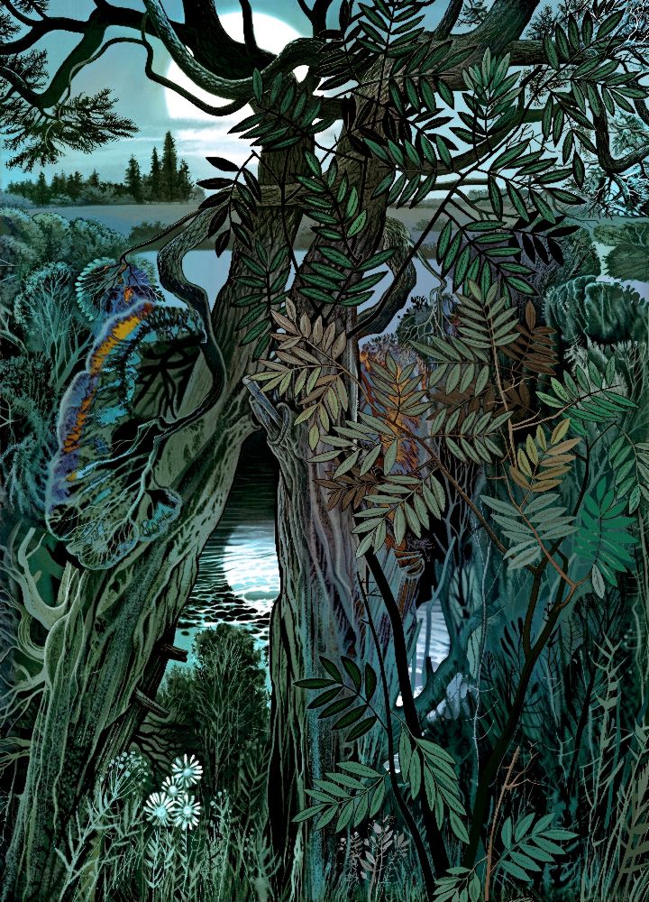 Das Gestrüpp an dem Teich von Konstantin Avdeev