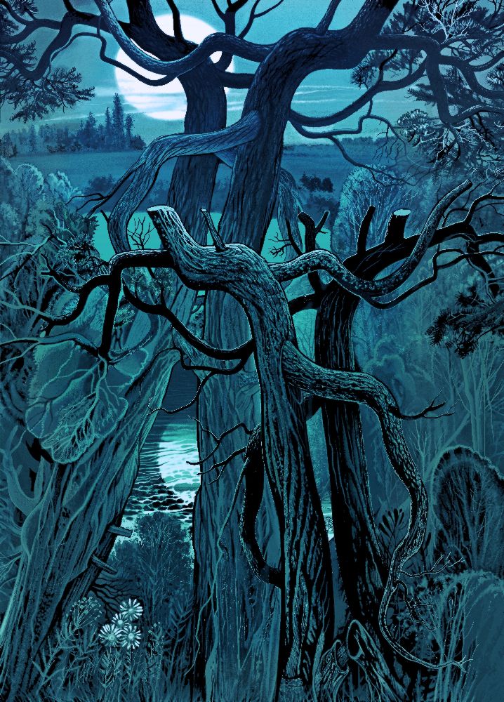 Das Mondlicht von Konstantin Avdeev