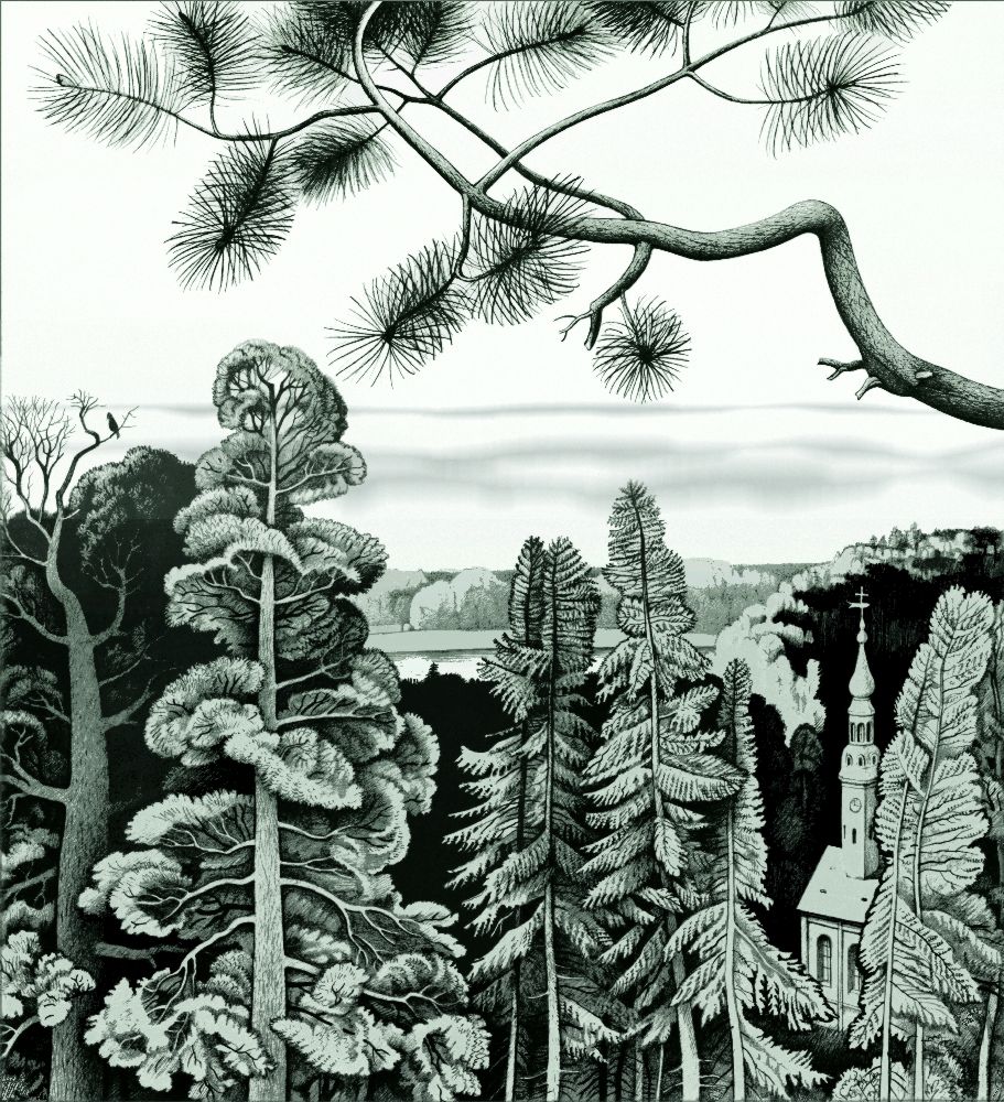 Der Kieferzweig von Konstantin Avdeev