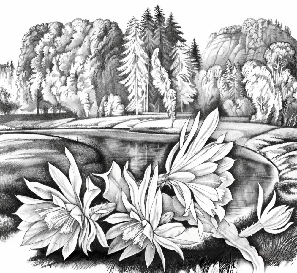 Die Blumen an dem Flüsschen von Konstantin Avdeev