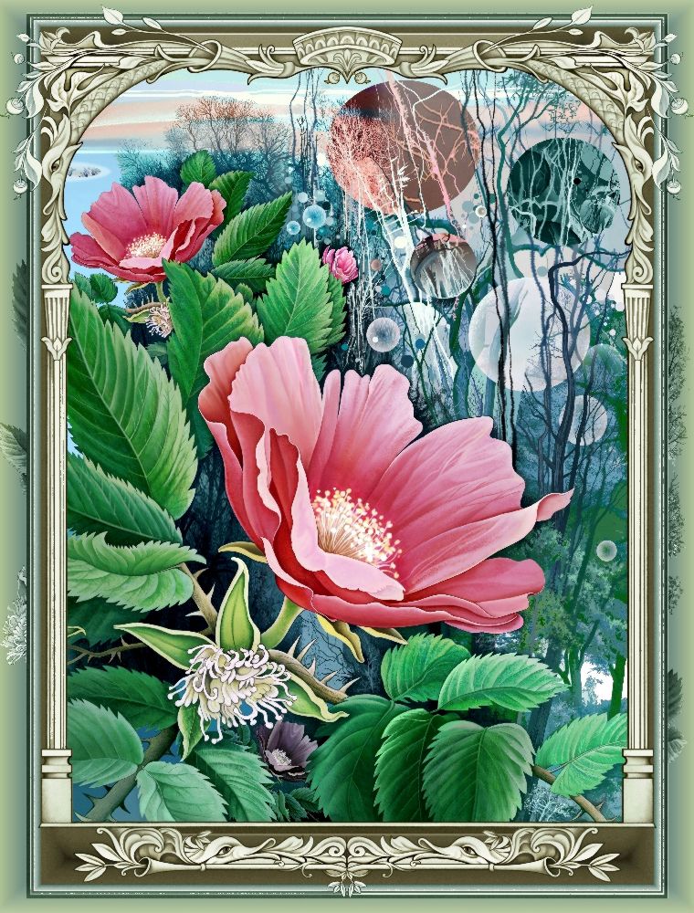 Wo die wilde Rose blühen (Variante) von Konstantin Avdeev