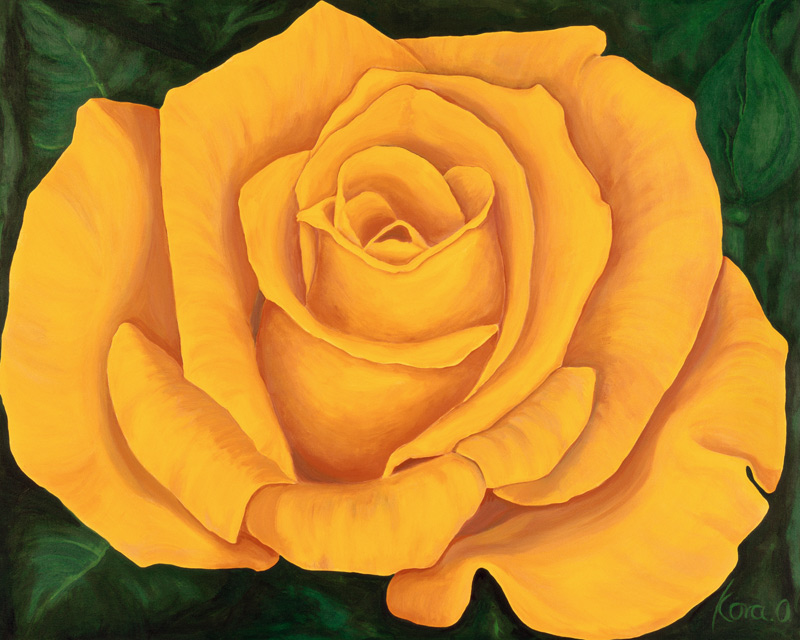 Gelbe Rose Landora von Kora Christen