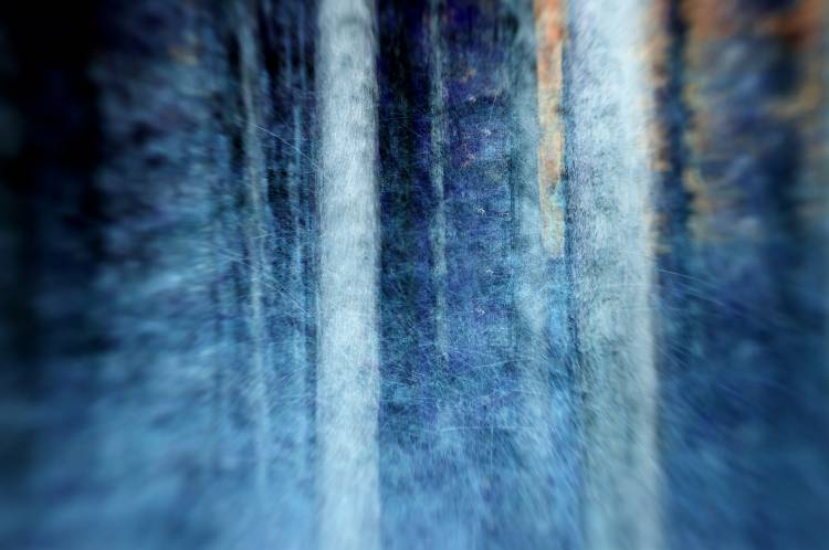 THE FOREST von Kostas Barbadimos