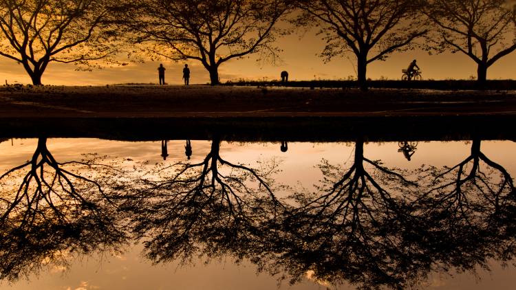 kintyakuta von Kouji Tomihisa