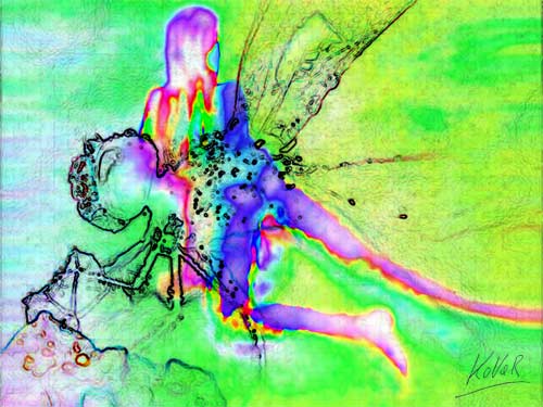 Das Wesen der Frau von Andreas Kovar