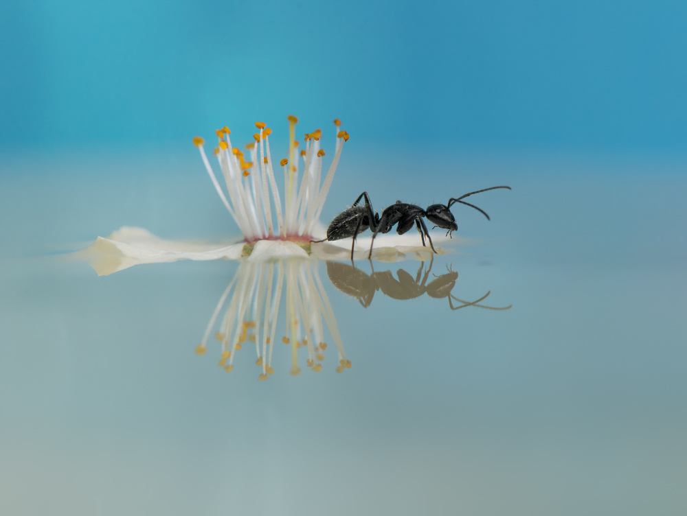 *** von Krasi Matarov