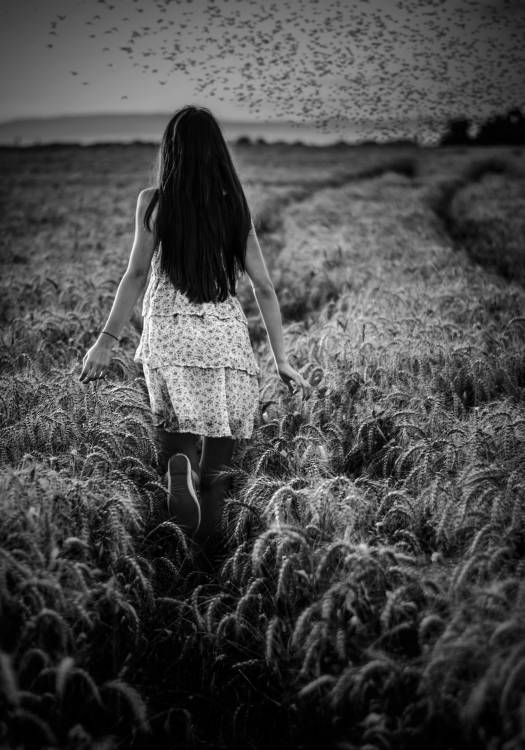 Flight von Kristina Gospodinova