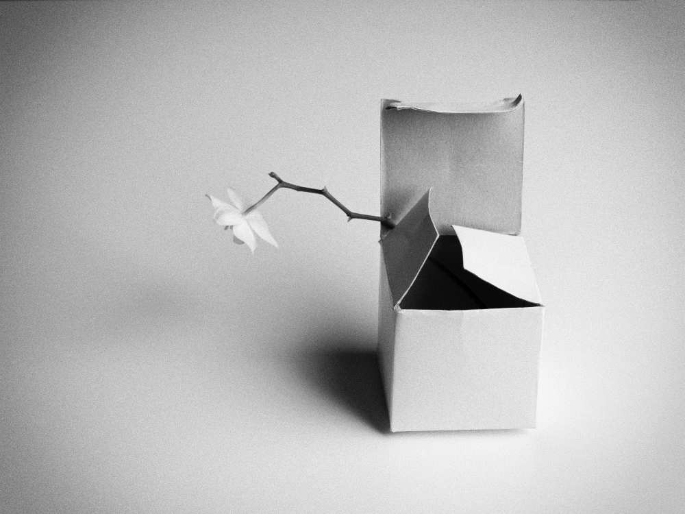 A Present von Kristina Oveckova